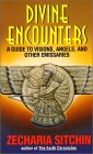 Divine Encounters : A Guide to Visions, Angels and Other Emissaries